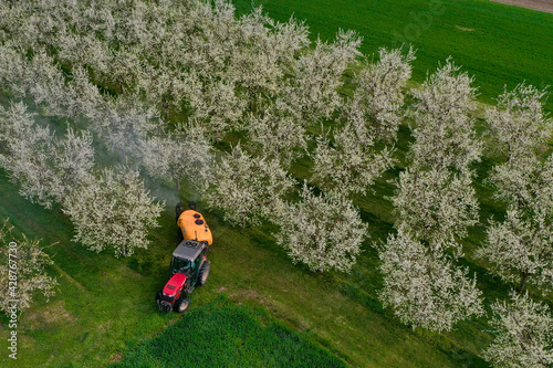 Traitement phytosanitaire des arbres fruitiers