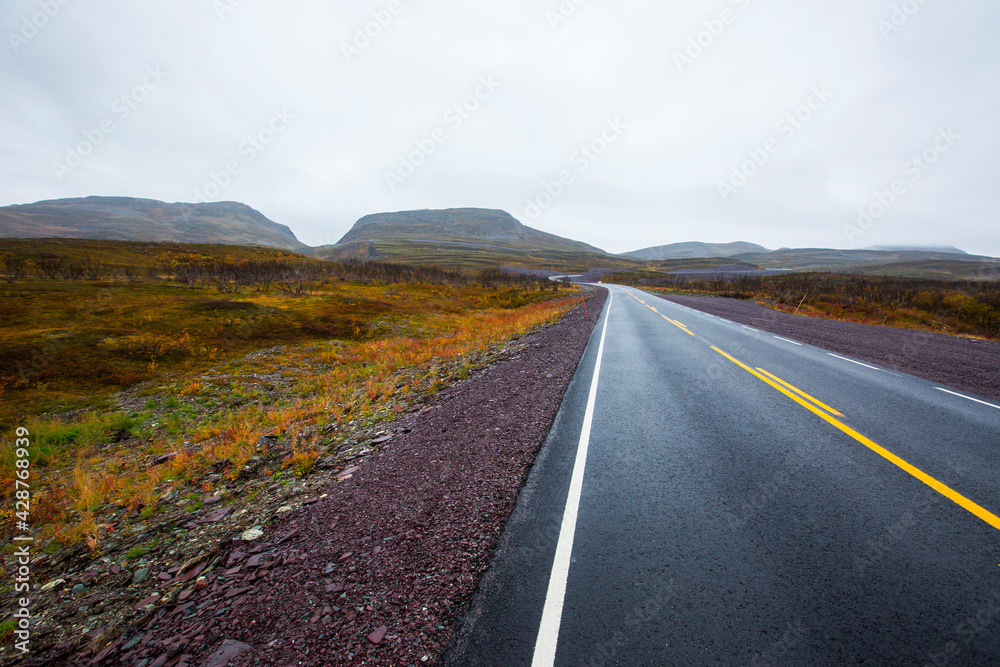 Fototapeta premium Autumn landscape in tundra, northern Norway. Europe