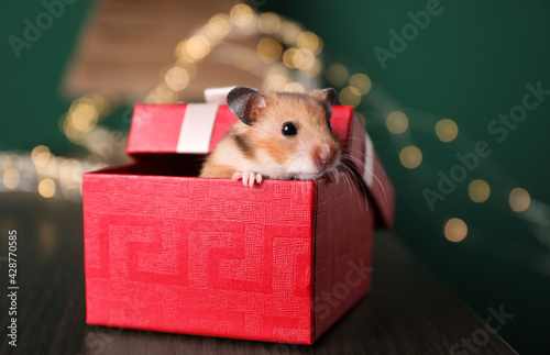 Cute little hamster looking out of gift box on wooden table, closeup photo