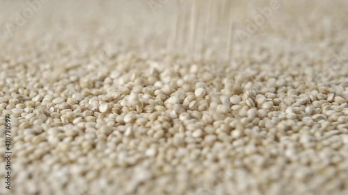 Falling uncooked quinoa grains into a heap in slow motion. Macro shot photo