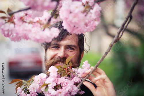 Bearded adult man with long mustache and gray hair near cherry blossom trees in spring