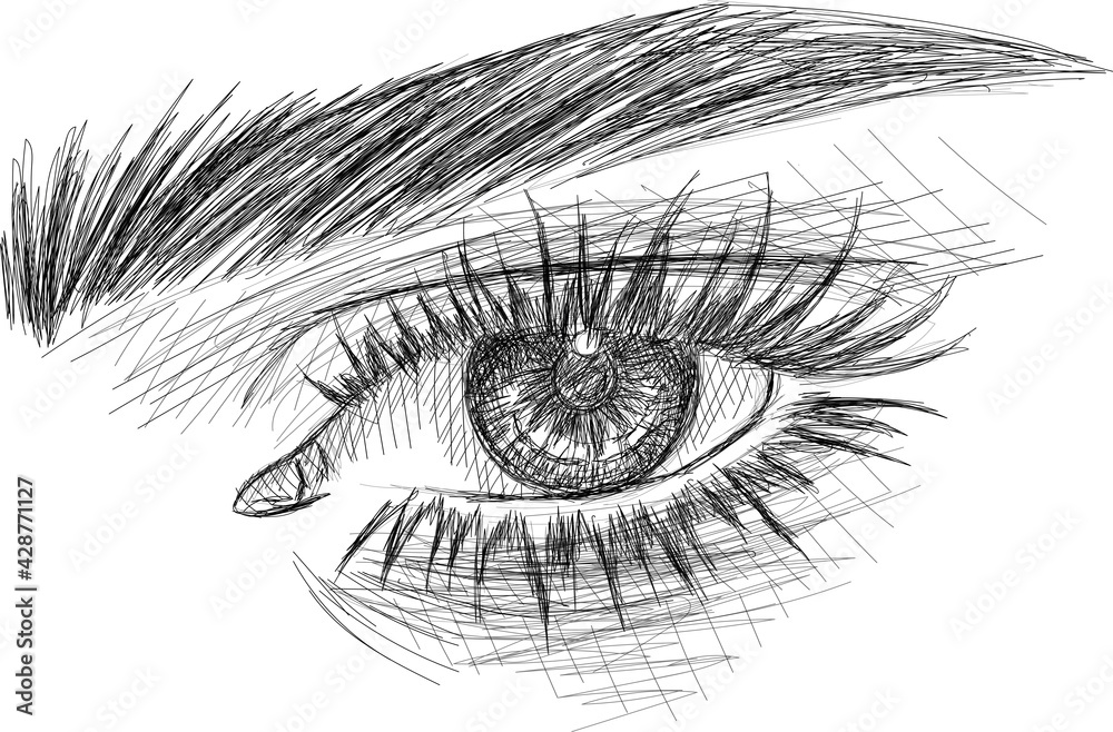 Obraz premium Realistic eye sketch - ink eye illustration 