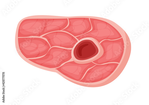 Raw beefsteak meat isolated on white background
