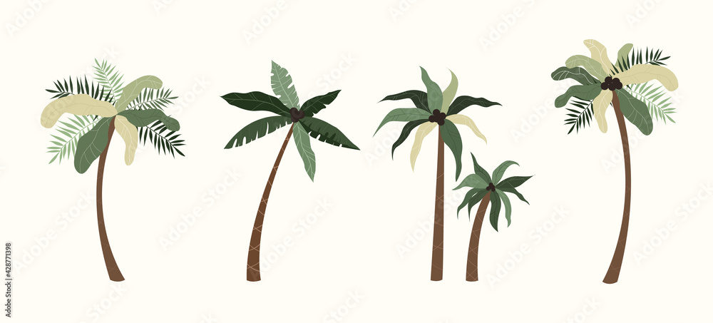 Fototapeta premium Palm trees isolated in hand drawn style. Modern tropical vector trees