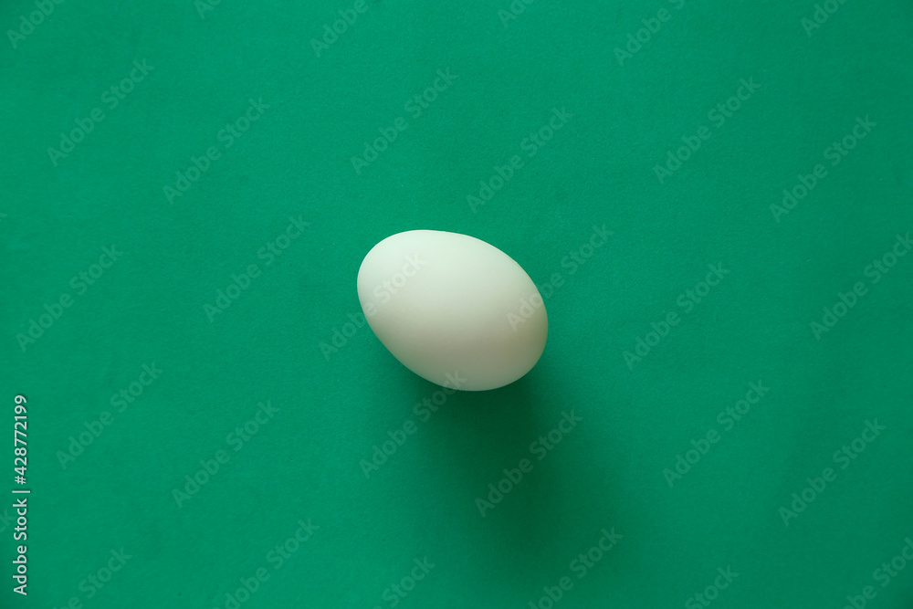 light blue egg on green surface light blue egg on green surface