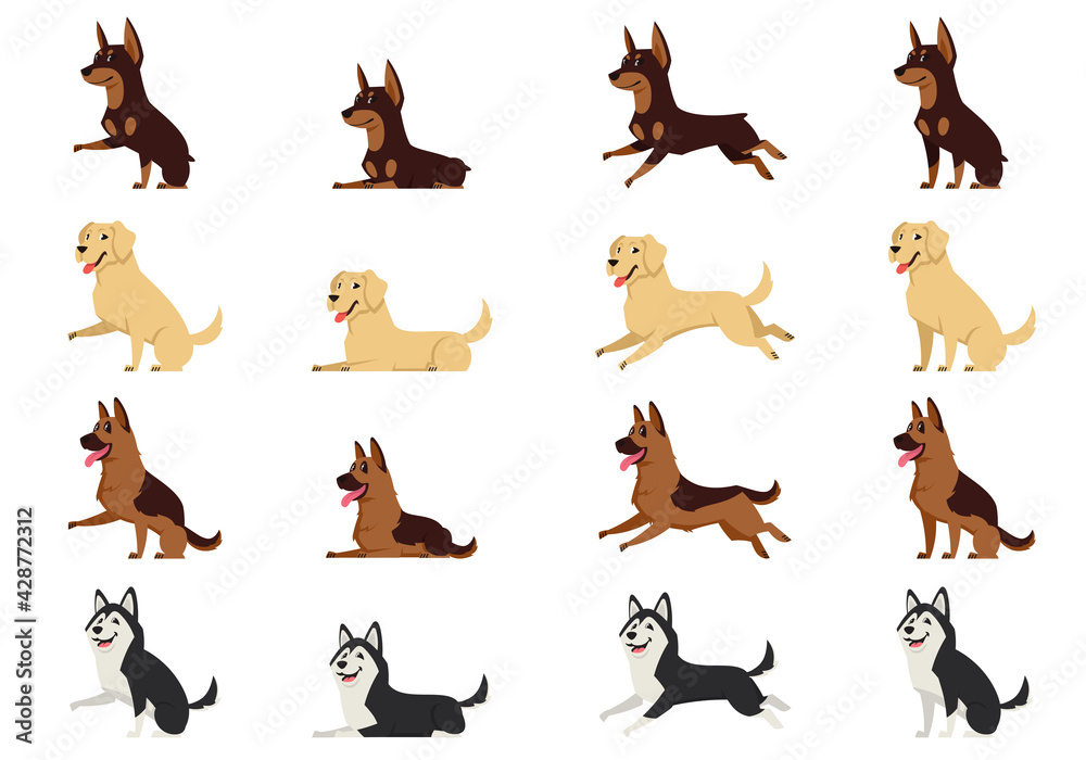 Set of dogs in different poses. Doberman, Labrador, German Shepherd and Husky in cartoon style.