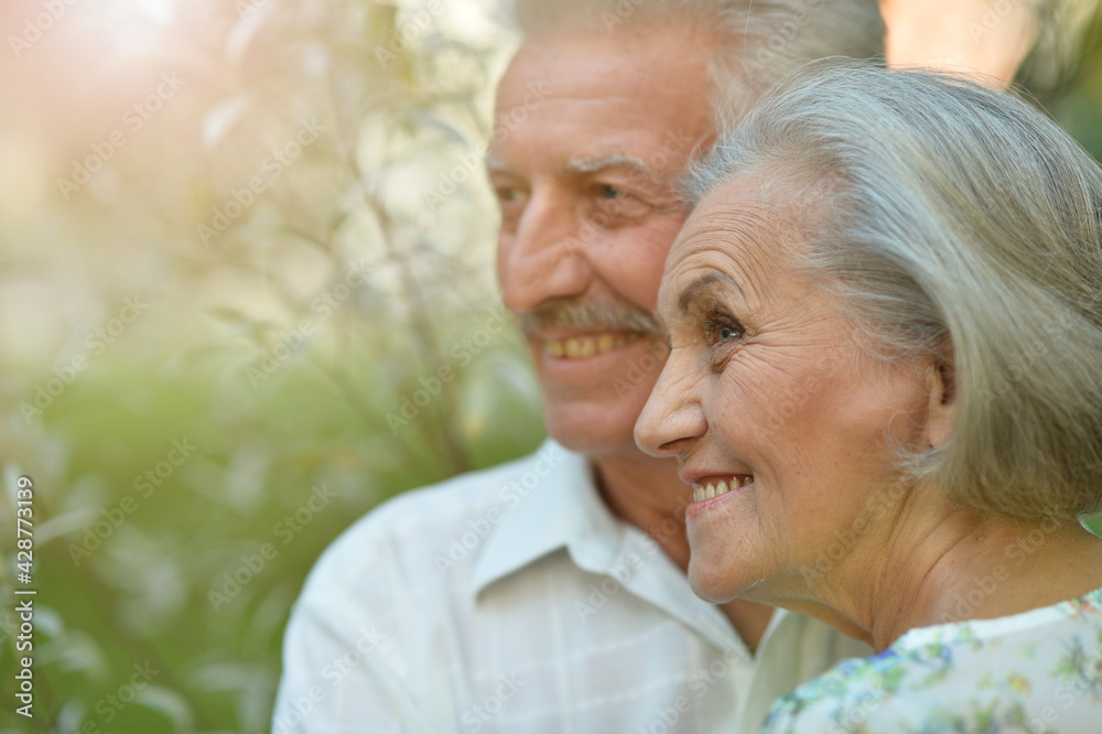 Portrait of beautiful happy senior couple in the park Portrait of beautiful happy senior couple in the park