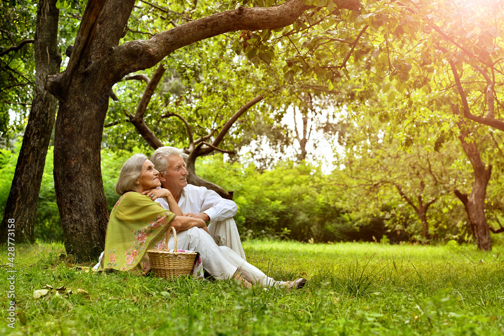 happy senior couple sitting in park happy senior couple sitting in park
