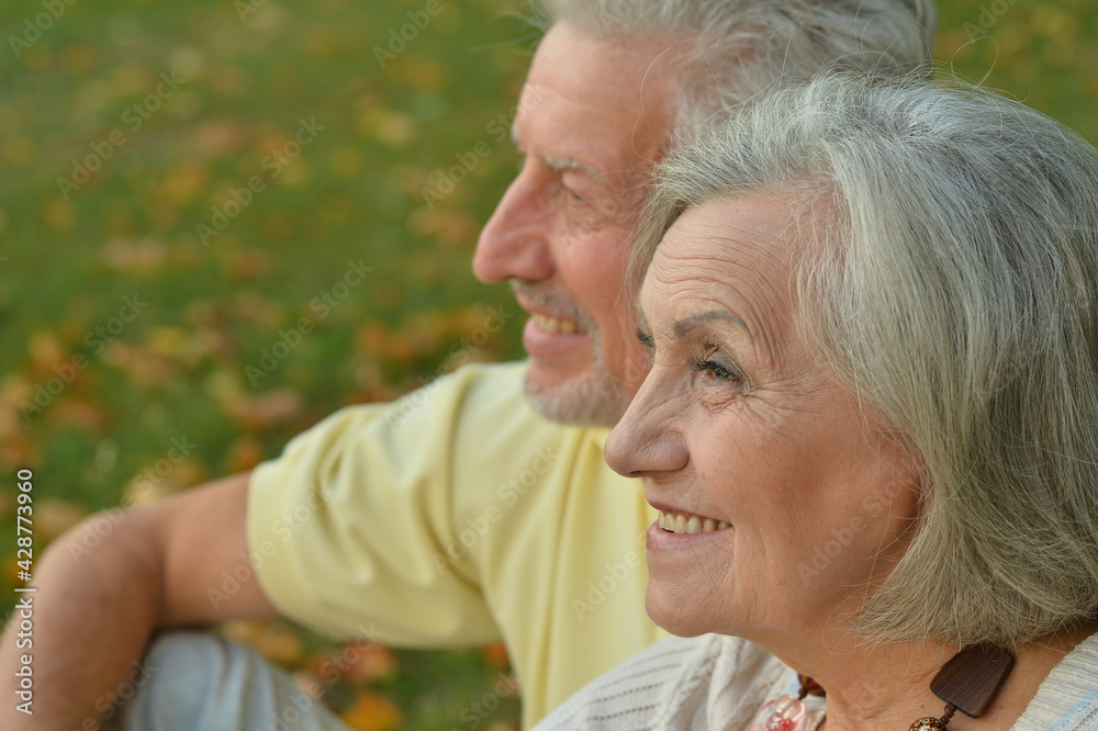 Portrait of beautiful senior couple sitting on grass Portrait of beautiful senior couple sitting on grass