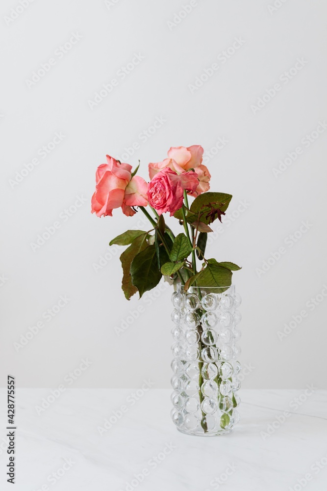 Fototapeta premium roses in vase