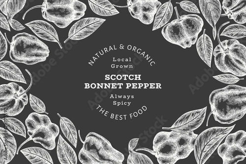 Hand drawn sketch style scotch bonnet pepper banner. Organic fresh vegetable vector illustration on chalk board. Retro cayenne pepper design template