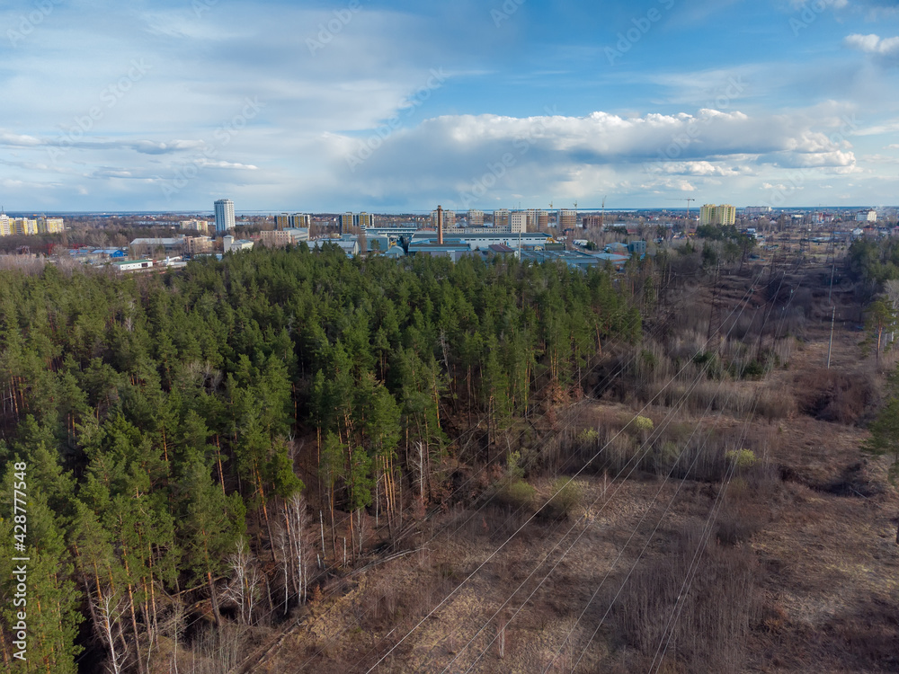 Aerial view of overhead power lines over a forest clearing