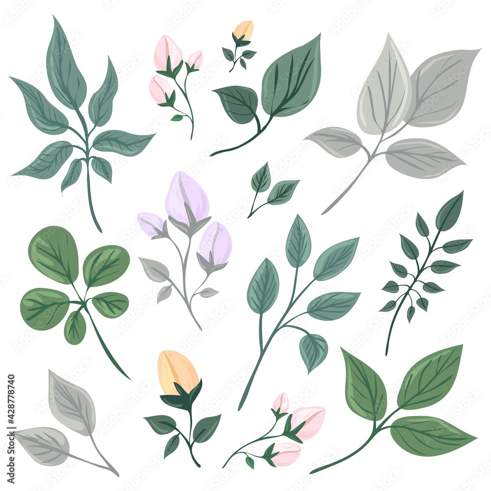 Botanical elements set. Collection of flowers and leaves. Flat isolated vector illustration. Pastel colors. Botanical elements set. Collection of flowers and leaves. Flat isolated vector illustration. Pastel colors.