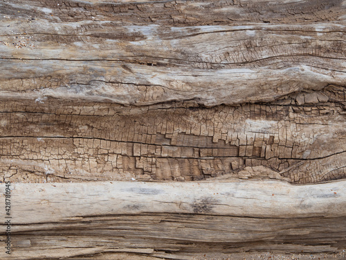 Wood texture. The background is made of an old dilapidated wooden board.