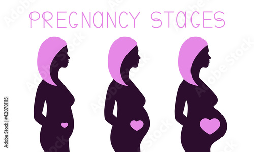 Pregnancy stages infographic. Pregnant woman silhouette during 3 trimesters. Female body changes and belly grows. Vector illustration.