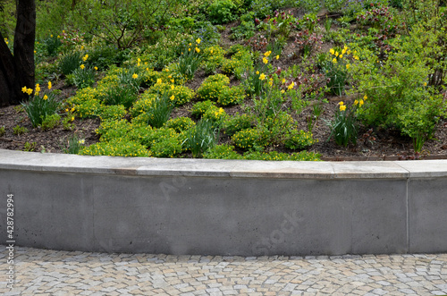 bench by the retaining wall in the park of black bushes early spring perennials, on a high flowerbed slope path of granite cubes photo