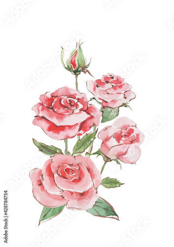 Bouquet of pink roses with buds and green leaves. Watercolor on a white background for the design of cards, wedding invitations, print, background, textile, wrapping, packaging.