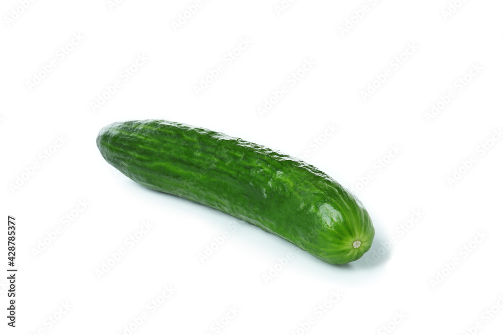 One fresh cucumber isolated on white background One fresh cucumber isolated on white background