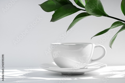 White tea or coffee mug and saucer, on a white table in the rays of the sun, with hard shadows, green leaves of a home plant. Copy space