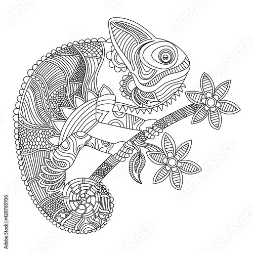 Chameleon coloring book illustration. Black and white lines. Print for t-shirts and coloring books. 