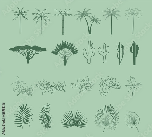 Collection of Summer Boho linear symbols, icons design. Palm, plant, flowers, leaf. Editable Vector Illustration.