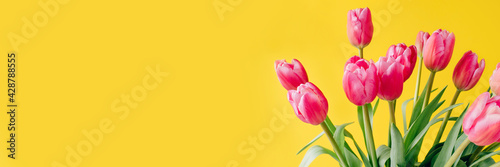 Fototapeta Naklejka Na Ścianę i Meble -  Fresh tulip flowers on a yellow background. Bright spring background. Copy space for text.