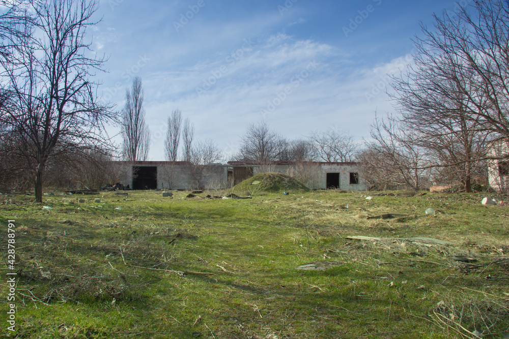 Ruins of an abandoned concrete house overgrown with trees in a forest in southern Russia, Krasnodar Ruins of an abandoned concrete house overgrown with trees in a forest in southern Russia, Krasnodar
