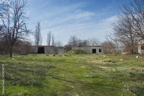 Ruins of an abandoned concrete house overgrown with trees in a forest in southern Russia, Krasnodar