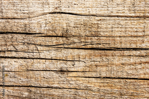 Wood structure texture. Cracked wooden pattern. Plank background. Natural wood board. Dry tree section backdrop. Grunge carpentry desk.