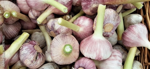 young garlic on the market