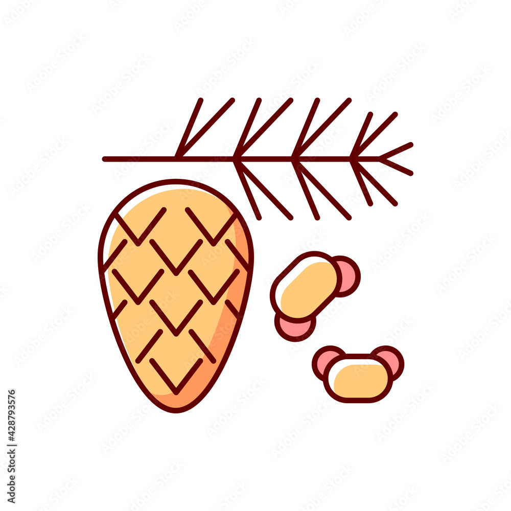 Cedar and pine tree pollen RGB color icon. Branch with needles, fir