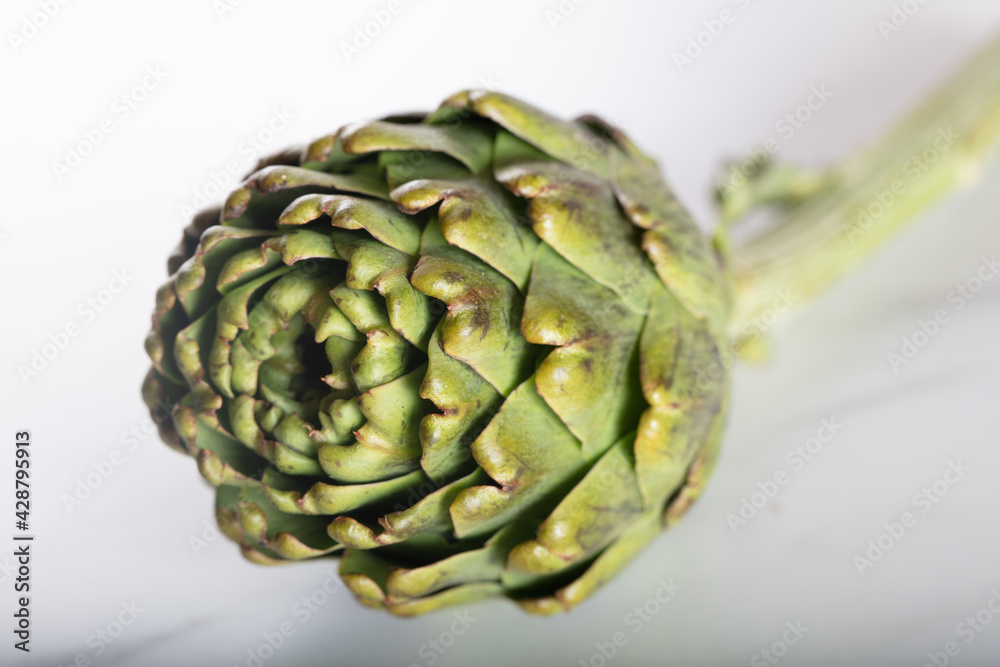 Fototapeta premium Close-Up Of Artichoke Against White Background