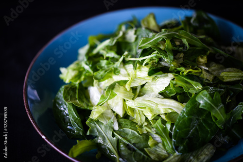 mix of fresh lettuce close up