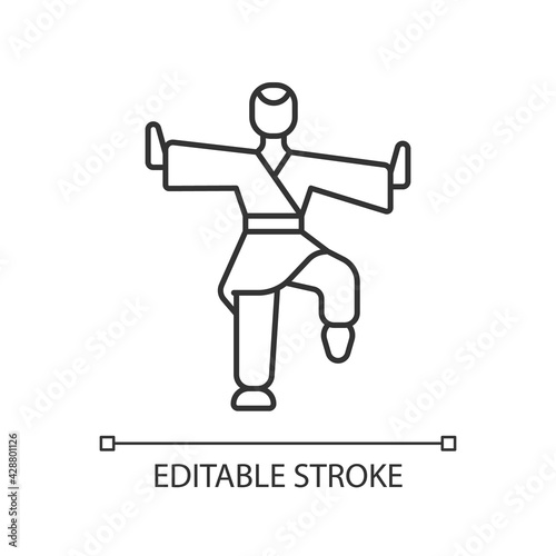 Kung Fu linear icon. Martial arts training. Karate class. Traditional fighting. Thin line customizable illustration. Contour symbol. Vector isolated outline drawing. Editable stroke