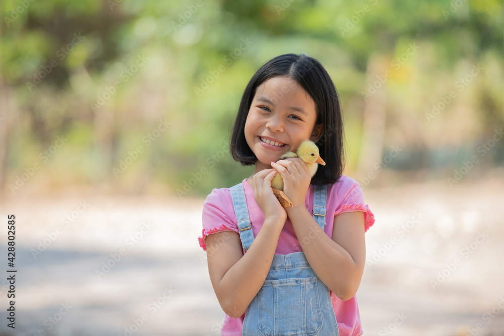 happy little girl with of small ducklings sitting outdoor. adorable little girl school age, yellow duckling in her hands, a baby's chick, Easter, spring holiday, children, love for animals. happy little girl with of small ducklings sitting outdoor. adorable little girl school age, yellow duckling in her hands, a baby's chick, Easter, spring holiday, children, love for animals.