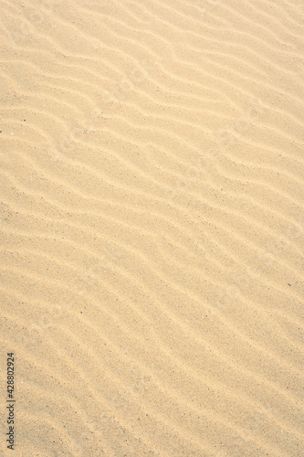 close-up of sand pattern at the Dutch coast, no people