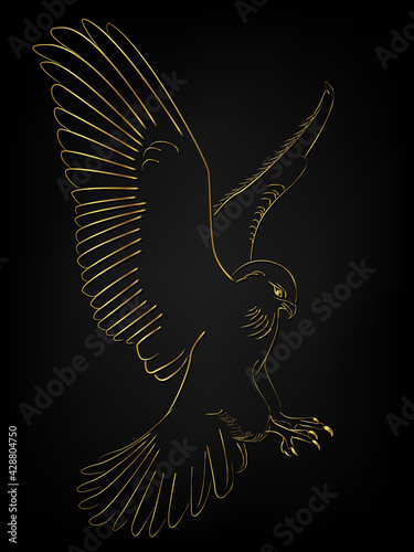 Golden border tattoo , Hawk flying over black background