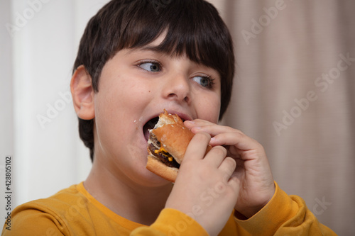 Kid Boy Eating Delicious homemade Hamburger
