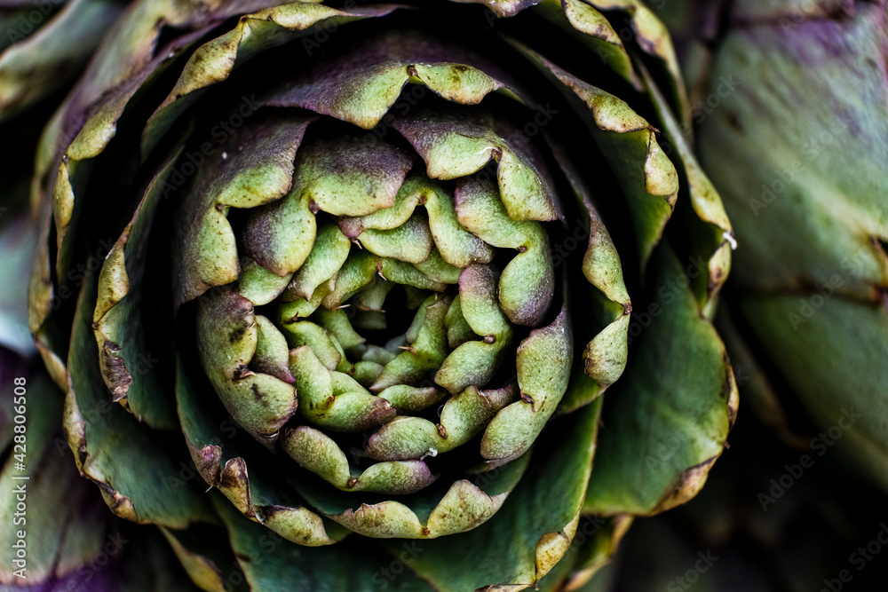 Obraz premium Macro photo of artichokes in Rome Italy