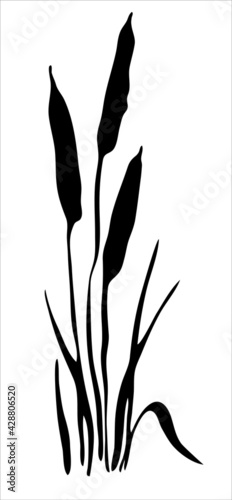 Fototapeta Naklejka Na Ścianę i Meble -  Oriental ink painting. Reeds. River plants. Image in one color. Vector. 
