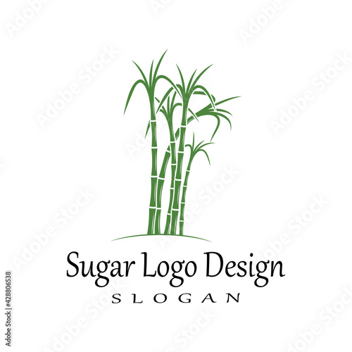 Fototapeta Naklejka Na Ścianę i Meble -  Sugar cane Logo Template vector symbol nature