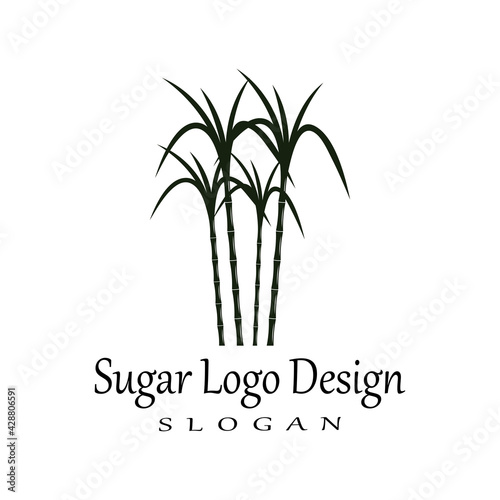 Fototapeta Naklejka Na Ścianę i Meble -  Sugar cane Logo Template vector symbol nature