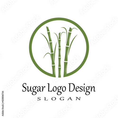 Sugar cane Logo Template vector symbol nature