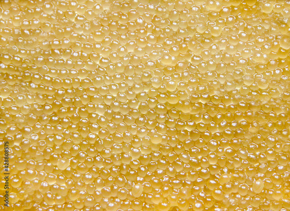 Pike caviar or roe close up picture. Food background