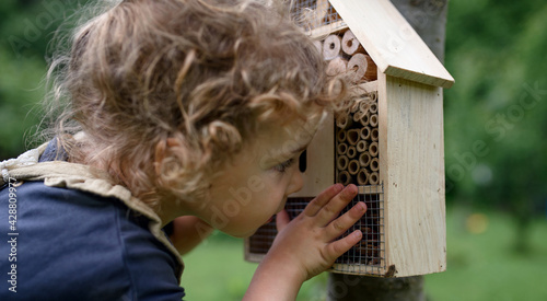 Small girl playing with bug and insect hotel in garden, sustainable lifestyle. © Halfpoint