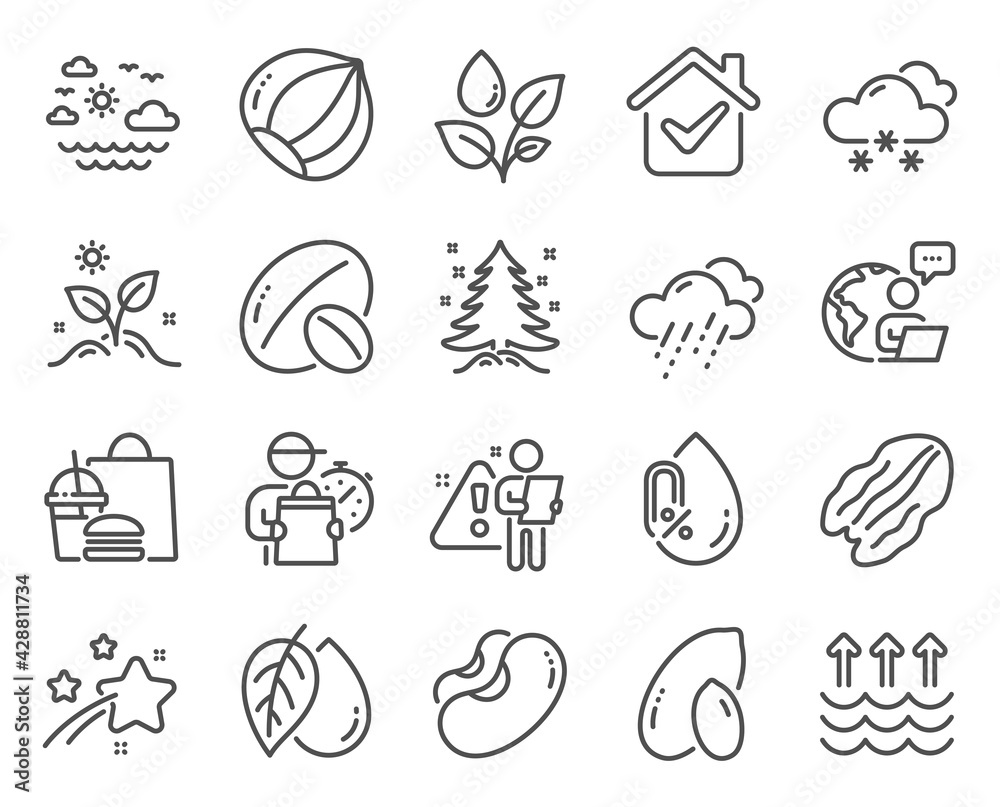 Nature icons set. Included icon as Beans, No alcohol, Grow plant signs. Mineral oil, Rainy weather, Hazelnut symbols. Peanut, Soy nut, Evaporation. Christmas tree, Plants watering. Vector Nature icons set. Included icon as Beans, No alcohol, Grow plant signs. Mineral oil, Rainy weather, Hazelnut symbols. Peanut, Soy nut, Evaporation. Christmas tree, Plants watering. Vector