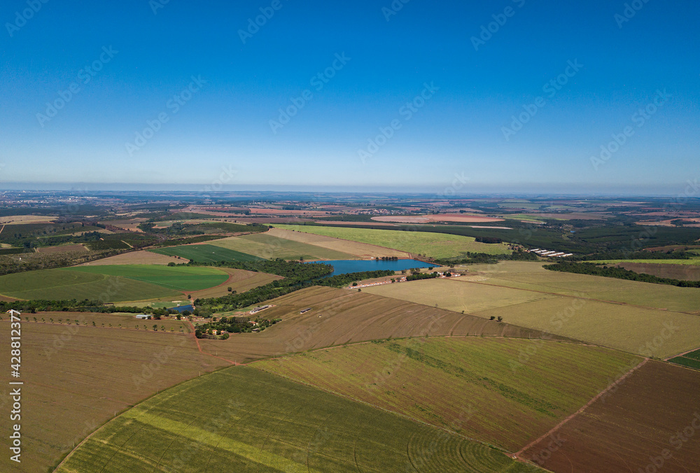 fazenda de plantio de monocultura