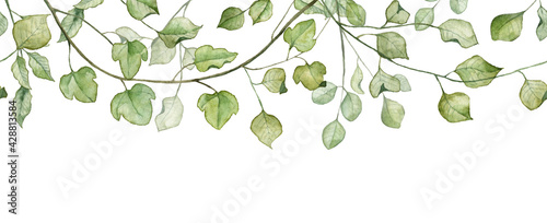Seamless banner with green leaves. Watercolor hand painted botany photo