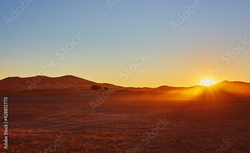 Beautiful sand dunes in the Sahara desert