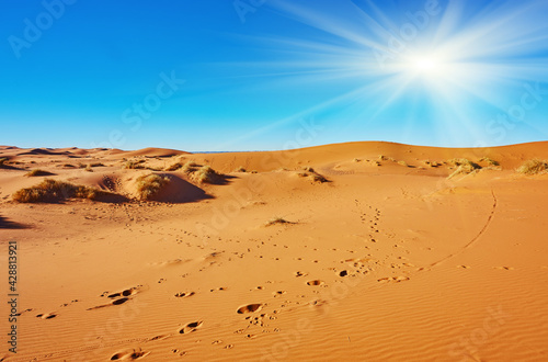 Beautiful sand dunes in the Sahara desert © Ryzhkov Oleksandr